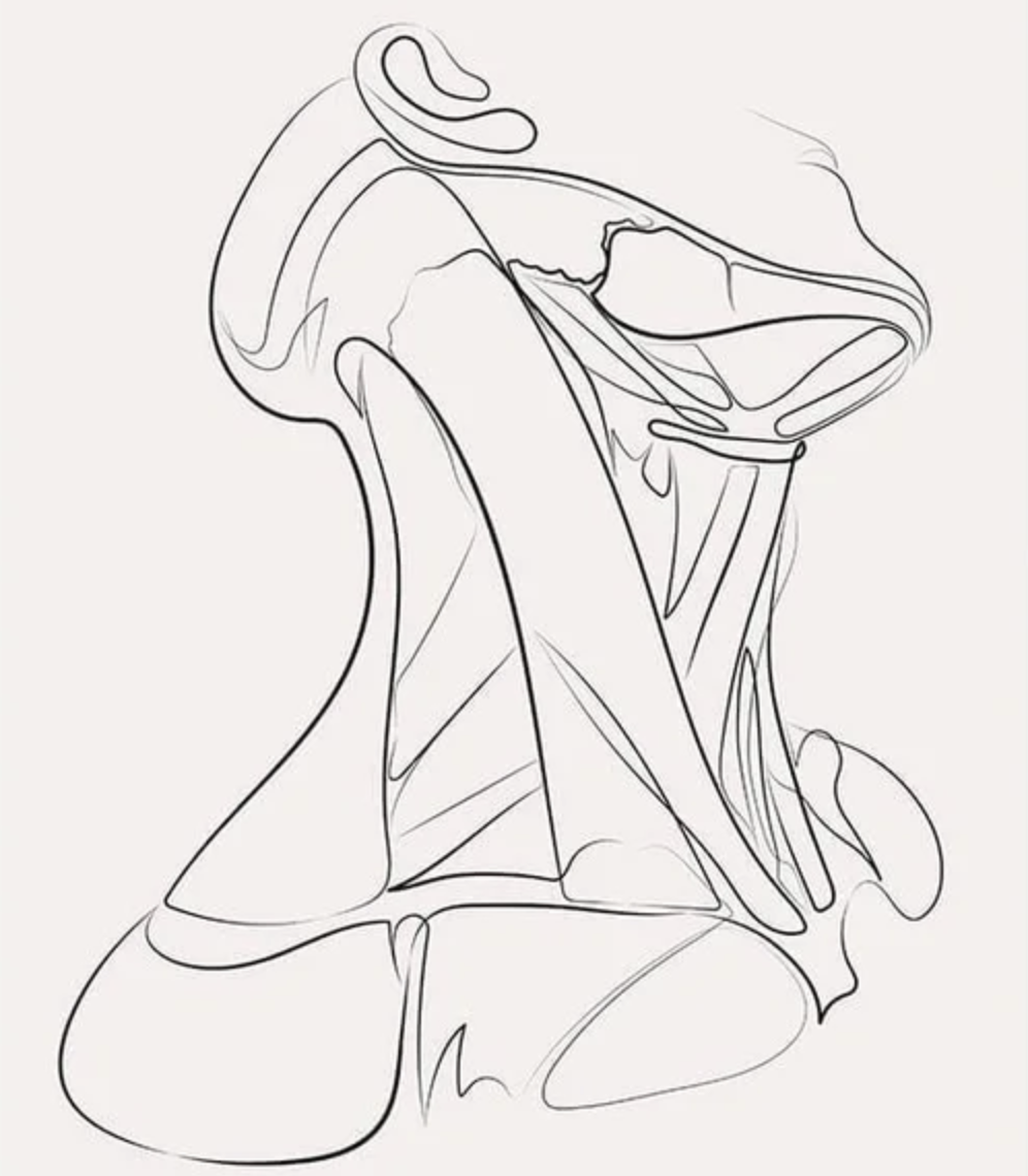 Head and neck cancer and thyroid surgery